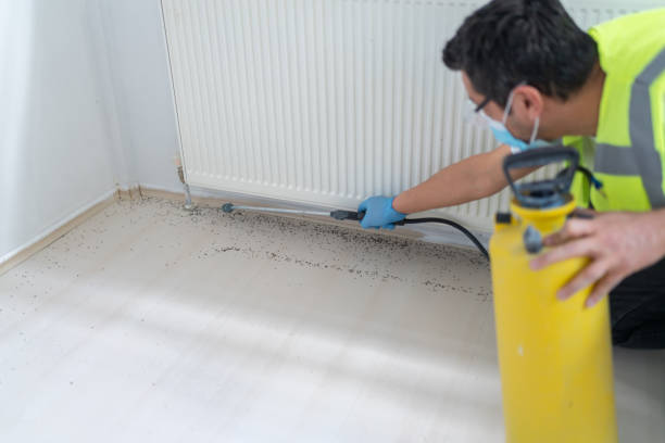 Best Best Pest Control Companies  in Douglas, MI